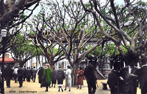Bone - Cours Bertagna 
